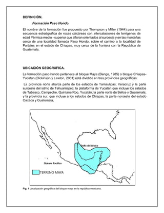 DEFINICIÓN.
Formación Paso Hondo.
El nombre de la formación fue propuesto por Thompson y Miller (1944) para una
secuencia estratigráfica de rocas calcáreas con intercalaciones de terrígenos de
edad Pérmica medio - superior que afloran orientados al suroeste y en las montañas
cerca de una localidad llamada Paso Hondo, sobre el camino a la localidad de
Portales en el estado de Chiapas, muy cerca de la frontera con la Republica de
Guatemala.
UBICACIÓN GEOGRÁFICA.
La formación paso hondo pertenece al bloque Maya (Dengo, 1985) o bloque Chiapas-
Yucatán (Dickinson y Lawton, 2001) está dividido en tres provincias geográficas:
La provincia norte abarca parte de los estados de Tamaulipas, Veracruz y la parte
suroeste del istmo de Tehuantepec; la plataforma de Yucatán que incluye los estados
de Tabasco, Campeche, Quintana Roo, Yucatán, la parte norte de Belice y Guatemala;
y la provincia sur, que incluye a los estados de Chiapas, la parte noroeste del estado
Oaxaca y Guatemala.
Fig. 1 Localización geográfica del bloque maya en la república mexicana.
 