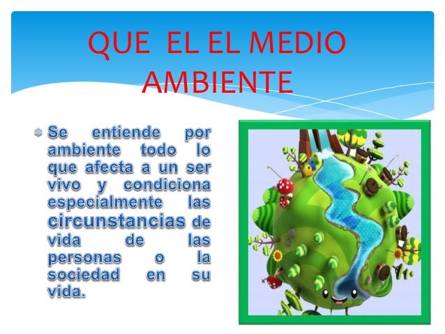 Resultado de imagen para EL AMBIENTE