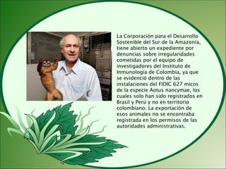 •   La Corporación para el Desarrollo
    Sostenible del Sur de la Amazonía,
    tiene abierto un expediente por
    denuncias sobre irregularidades
    cometidas por el equipo de
    investigadores del Instituto de
    Inmunología de Colombia, ya que
    se evidenció dentro de las
    instalaciones del FIDIC 627 micos
    de la especie Aotus nancymae, los
    cuales solo han sido registrados en
    Brasil y Perú y no en territorio
    colombiano. La exportación de
    esos animales no se encontraba
    registrada en los permisos de las
    autoridades administrativas.
 