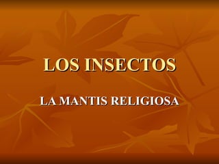 LOS INSECTOS LA MANTIS RELIGIOSA 