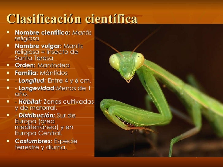 Trabajo De Juan Ignacio