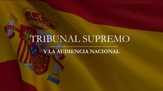TRIBUNAL SUPREMO
Y LA AUDIENCIA NACIONAL
 