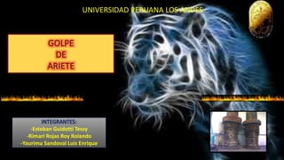 UNIVERSIDAD PERUANA LOS ANDES
-Esteban Guidotti Tessy
-Rimari Rojas Roy Rolando
-Yaurimu Sandoval Luis Enrique
 