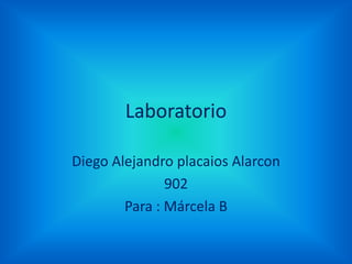 Laboratorio

Diego Alejandro placaios Alarcon
               902
        Para : Márcela B
 