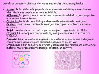 La vida se agrupa en diversos niveles estructurales bien jerarquizados. Átomo : Es la unidad más pequeña de un elemento químico que mantiene su identidad o sus propiedades y es indivisible. Mólecula:  Grupo de átomos que se mantienen unidos debido a que comparten o intercambian electrones.  Orgánulo:  Parte de una célula que desempeña la función de un órgano. Célula:  Es una unidad mínima de un organismo capaz de actuar de manera autónoma. Tejido:  Materiales constituidos por un conjunto organizado de células,  Órgano:  Es un conjunto asociado de tejidos que concurren en estructura y función. Aparato:  Es un conjunto de órganos y estructuras similares que trabajan en conjunto para cumplir alguna función fisiológica en un ser vivo. Organismo:  Es un conjunto de átomos y moléculas que forman una estructura material muy organizada y compleja, es decir, un ser vivo. 