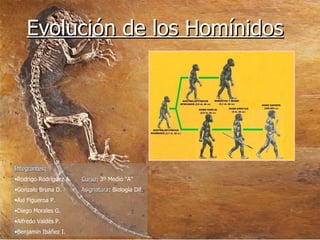 Evolución de los Homínidos ,[object Object],[object Object],[object Object],[object Object],[object Object],[object Object],[object Object]