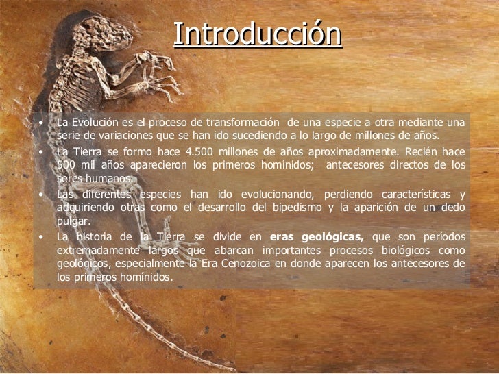 Trabajo De La Evolucion Humana... Hominidos