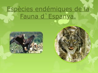 Espècies endémiques de la
    Fauna d`Espanya.
 