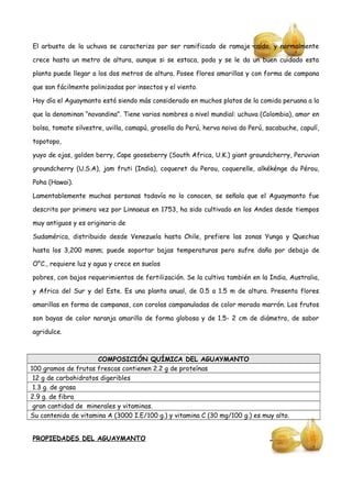 El arbusto de la uchuva se caracteriza por ser ramificado de ramaje caído, y normalmente
crece hasta un metro de altura, aunque si se estaca, poda y se le da un buen cuidado esta
planta puede llegar a los dos metros de altura. Posee flores amarillas y con forma de campana
que son fácilmente polinizadas por insectos y el viento.
Hoy día el Aguaymanto está siendo más considerado en muchos platos de la comida peruana a la
que la denominan “novandina”. Tiene varios nombres a nivel mundial: uchuva (Colombia), amor en
bolsa, tomate silvestre, uvilla, camapú, grosella do Perú, herva noiva do Perú, sacabuche, capulí,
topotopo,
yuyo de ojas, golden berry, Cape gooseberry (South Africa, U.K.) giant groundcherry, Peruvian
groundcherry (U.S.A), jam fruti (India), coqueret du Perou, coquerelle, alkékénge du Pérou,
Poha (Hawai).
Lamentablemente muchas personas todavía no lo conocen, se señala que el Aguaymanto fue
descrita por primera vez por Linnaeus en 1753, ha sido cultivado en los Andes desde tiempos
muy antiguos y es originario de
Sudamérica, distribuido desde Venezuela hasta Chile, prefiere las zonas Yunga y Quechua
hasta los 3,200 msnm; puede soportar bajas temperaturas pero sufre daño por debajo de
O°C., requiere luz y agua y crece en suelos
pobres, con bajos requerimientos de fertilización. Se la cultiva también en la India, Australia,
y Africa del Sur y del Este. Es una planta anual, de 0.5 a 1.5 m de altura. Presenta flores
amarillas en forma de campanas, con corolas campanuladas de color morado marrón. Los frutos
son bayas de color naranja amarillo de forma globosa y de 1.5- 2 cm de diámetro, de sabor
agridulce.
COMPOSICIÓN QUÍMICA DEL AGUAYMANTO
100 gramos de frutas frescas contienen 2.2 g de proteínas
12 g de carbohidratos digeribles
1.3 g. de grasa
2.9 g. de fibra
gran cantidad de minerales y vitaminas.
Su contenido de vitamina A (3000 I.E/100 g.) y vitamina C (30 mg/100 g.) es muy alto.
PROPIEDADES DEL AGUAYMANTO
 