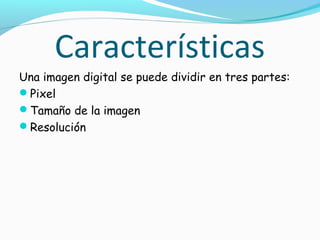 Características
Una imagen digital se puede dividir en tres partes:
Pixel
Tamaño de la imagen
Resolución
 