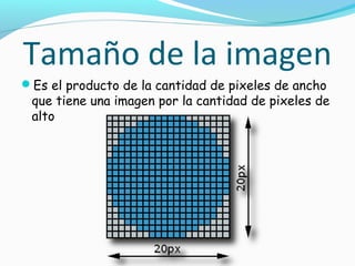 Tamaño de la imagen
Es el producto de la cantidad de pixeles de ancho
 que tiene una imagen por la cantidad de pixeles de
 alto
 