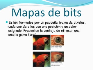 Mapas de bits
Están formados por un pequeña trama de pixeles,
 cada uno de ellos con una posición y un color
 asignado. Presentan la ventaja de ofrecer una
 amplia gama tonal.
 