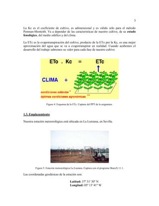 3
La Kc es el coeficiente de cultivo, es adimensional y es válido sólo para el método
Penman-Monteith. Va a depender de las características de nuestro cultivo, de su estado
fenológico, del medio edáfico y del clima.
La ETc es la evapotranspiración del cultivo, producto de la ETo por la Kc, es una mejor
aproximación del agua que se va a evapotranspirar en realidad. Cuando acabemos el
desarrollo del trabajo sabremos su valor para cada fase de nuestro cultivo.
Figura 4: Esquema de la ETc. Captura del PPT de la asignatura.
1.3. Emplazamiento
Nuestra estación meteorológica está ubicada en La Luisiana, en Sevilla.
Figura 5: Estación meteorológica La Lusiana. Captura con el programa ShareX 11.1.
Las coordenadas geodésicas de la estación son:
Latitud: 37º 31' 30'' N
Longitud: 05º 13' 41'' W
 
