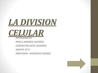 LA DIVISION
CELULARINTEGRANTES:
PAOLA ANDREA ALVAREZ
LORENA PALACIO LEGARDA
GRUPO 10°4
PROFESOR : MAURICIO GOMEZ
 
