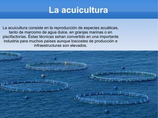La acuicultura
La acuicultura consiste en la reproducción de especies acuáticas,
tanto de marcomo de agua dulce, en granjas marinas o en
piscifactorías. Éstas técnicas sehan convertido en una importante
industria para muchos países aunque loscostes de producción e
infraestructuras son elevados.
 