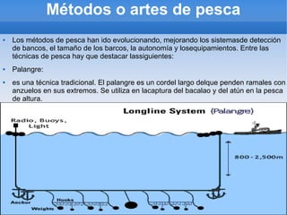 Métodos o artes de pesca
 Los métodos de pesca han ido evolucionando, mejorando los sistemasde detección
de bancos, el tamaño de los barcos, la autonomía y losequipamientos. Entre las
técnicas de pesca hay que destacar lassiguientes:
 Palangre:
 es una técnica tradicional. El palangre es un cordel largo delque penden ramales con
anzuelos en sus extremos. Se utiliza en lacaptura del bacalao y del atún en la pesca
de altura.







 