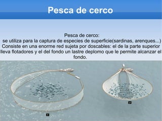 Pesca de cerco
Pesca de cerco:
se utiliza para la captura de especies de superficie(sardinas, arenques...)
Consiste en una enorme red sujeta por doscables: el de la parte superior
lleva flotadores y el del fondo un lastre deplomo que le permite alcanzar el
fondo.
 