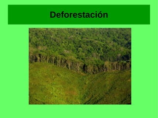 Deforestación
 