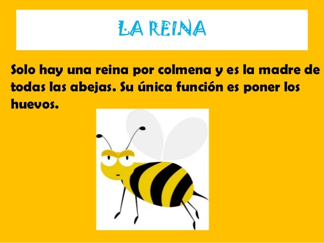 LAS ABEJAS
