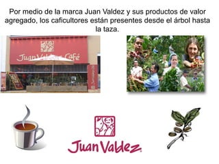 Por medio de la marca Juan Valdez y sus productos de valor
agregado, los caficultores están presentes desde el árbol hasta
la taza.
 