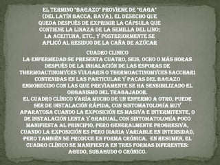 El termino "bagazo" proviene de "gaga" (del latín bacca, baya), el desecho que queda después de exprimir la cápsula que contiene la linaza de la semilla del lino; la aceituna, etc., y posteriormente se aplicó al residuo de la caña de azúcarCUADRO CLINICOLa enfermedad se presenta cuatro, seis, ocho o más horas después de la inhalación de las esporas de Thermoactinomyces vulgaris o Thermoactinomyces sacchari contenidas en las particular y pacas del bagazo enmohecido con las que previamente se ha sensibilizado el organismo del trabajador.El cuadro clínico varía mucho de un enfermo a otro, puede ser de instalación rápida, con sintomatología muy aparatosa cuando la exposición es masiva e intermitente, o de instalación lenta y gradual, con sintomatología poco manifiesta al principio, pero generalmente progresiva, cuando la exposición es pero diaria variable en intensidad, pero también se produce en forma crónica.  En resumen, el cuadro clínico se manifiesta en tres formas diferentes: agudo, subagudo o crónico.