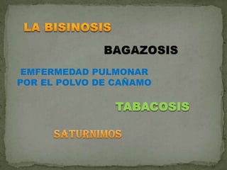 LA BISINOSIS BAGAZOSISEMFERMEDAD PULMONAR POR EL POLVO DE CAÑAMOTABACOSISSATURNIMOS