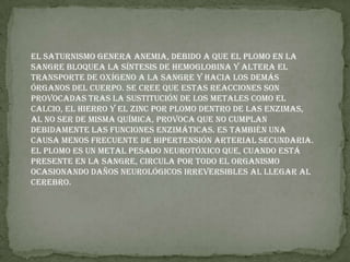 El saturnismo genera anemia, debido a que el plomo en la sangre bloquea la síntesis de hemoglobina y altera el transporte de oxígeno a la sangre y hacia los demás órganos del cuerpo. Se cree que estas reacciones son provocadas tras la sustitución de los metales como el calcio, el hierro y el zinc por plomo dentro de las enzimas, al no ser de misma química, provoca que no cumplan debidamente las funciones enzimáticas. Es también una causa menos frecuente de hipertensión arterial secundaria.El plomo es un metal pesado neurotóxico que, cuando está presente en la sangre, circula por todo el organismo ocasionando daños neurológicos irreversibles al llegar al cerebro.