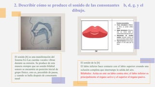 2. Describir cómo se produce el sonido de las consonantes b, d, g. y el
dibujo.
El sonido [b] es una manifestación del
fonema b/o Las cuerdas vocales vibran
durante su emisión. Se produce de esta
manera siempre que un sonido bilabial
sonoro se encuentra en posición inicial de
grupo fónico, esto es, precedido de pausa,
y cuando se halla después de consonante
nasal
El sonido de la [b]
El labio inferior hace contacto con el labio superior creando una
oclusión completa que interrumpe la salida del aire.
Bilabiales: Actúa en este un labio contra otro; el labio inferior es
principalmente el órgano activo y el superior el órgano pasivo.
 