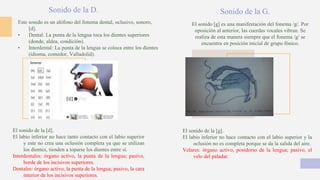 Sonido de la D.
El sonido de la [g].
El labio inferior no hace contacto con el labio superior y la
oclusión no es completa porque se da la salida del aire.
Velares: órgano activo, postdorso de la lengua; pasivo, el
velo del paladar.
Este sonido es un alófono del fonema dental, oclusivo, sonoro,
[d].
• Dental: La punta de la lengua toca los dientes superiores
(donde, aldea, condición).
• Interdental: La punta de la lengua se coloca entre los dientes
(idioma, comedor, Valladolid).
Sonido de la G.
El sonido de la [d].
El labio inferior no hace tanto contacto con el labio superior
y este no crea una oclusión completa ya que se utilizan
los dientes, tienden a toparse los dientes entre sí.
Interdentales: órgano activo, la punta de la lengua; pasivo,
borde de los incisivos superiores.
Dentales: órgano activo, la punta de la lengua; pasivo, la cara
interior de los incisivos superiores.
El sonido [g] es una manifestación del fonema /g/. Por
oposición al anterior, las cuerdas vocales vibran. Se
realiza de esta manera siempre que el fonema /g/ se
encuentra en posición inicial de grupo fónico.
 