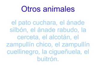 el pato cuchara ,  el ánade silbón ,  el ánade rabudo ,  la cerceta ,  el alcotán ,  el zampullín chico ,  el zampullín cuellinegro ,  la cigueñuela ,  el buitrón. Otros animales 