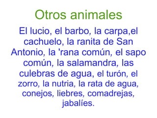 Otros animales El lucio, el barbo ,  la carpa,el cachuelo, la ranita de San Antonio ,  la 'rana común ,  el sapo común ,  la salamandra ,  las culebras de agua,  el turón ,  el zorro ,  la nutria ,  la rata de agua ,  conejos ,  liebres ,  comadrejas ,  jabalíes. 