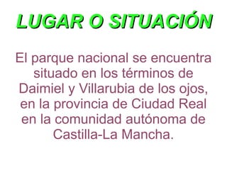 LUGAR O SITUACIÓN El parque nacional se encuentra situado en los términos de Daimiel y Villarubia de los ojos, en la provincia de Ciudad Real en la comunidad autónoma de Castilla-La Mancha. 