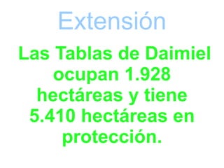 Las Tablas de Daimiel ocupan 1.928 hectáreas y tiene 5.410 hectáreas en protección. Extensión 