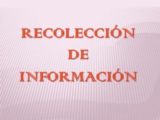 Producción de plátano tipo exportación.3.   SELECCIONAR UNA IDEA.        Teniendo toda la información recopilada Arturo llego a al conclusión de que la mejor idea era la producción de plátano.
