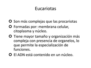 Eucariotas
 Son más complejas que las procariotas
 Formadas por: membrana celular,
citoplasma y núcleo.
 Tiene mayor tamaño y organización más
compleja con presencia de organelos, lo
que permite la especialización de
funciones.
 El ADN está contenido en un núcleo.
 