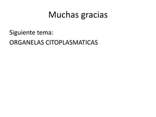 Muchas gracias
Siguiente tema:
ORGANELAS CITOPLASMATICAS
 