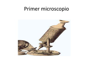 Primer microscopio
 