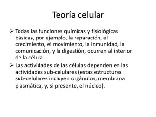 Teoría celular
 Todas las funciones químicas y fisiológicas
básicas, por ejemplo, la reparación, el
crecimiento, el movimiento, la inmunidad, la
comunicación, y la digestión, ocurren al interior
de la célula
 Las actividades de las células dependen en las
actividades sub-celulares (estas estructuras
sub-celulares incluyen orgánulos, membrana
plasmática, y, si presente, el núcleo).
 