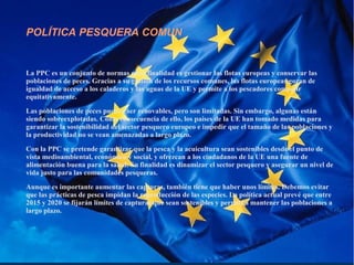 POLÍTICA PESQUERA COMUN
La PPC es un conjunto de normas cuya finalidad es gestionar las flotas europeas y conservar las
poblaciones de peces. Gracias a su gestión de los recursos comunes, las flotas europeas gozan de
igualdad de acceso a los caladeros y las aguas de la UE y permite a los pescadores competir
equitativamente.
Las poblaciones de peces pueden ser renovables, pero son limitadas. Sin embargo, algunas están
siendo sobreexplotadas. Como consecuencia de ello, los países de la UE han tomado medidas para
garantizar la sostenibilidad del sector pesquero europeo e impedir que el tamaño de las poblaciones y
la productividad no se vean amenazadas a largo plazo.
Con la PPC se pretende garantizar que la pesca y la acuicultura sean sostenibles desde el punto de
vista medioambiental, económico y social, y ofrezcan a los ciudadanos de la UE una fuente de
alimentación buena para la salud. Su finalidad es dinamizar el sector pesquero y asegurar un nivel de
vida justo para las comunidades pesqueras.
Aunque es importante aumentar las capturas, también tiene que haber unos límites. Debemos evitar
que las prácticas de pesca impidan la reproducción de las especies. La política actual prevé que entre
2015 y 2020 se fijarán límites de capturas que sean sostenibles y permitan mantener las poblaciones a
largo plazo.
 