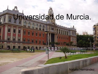 Universidad de Murcia.
Natalia Hernández.
 