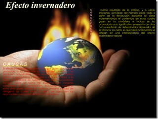 Efecto invernadero   Como resultado de la intensa, y a veces irracional, actividad del hombre sobre todo a partir de la Revolución Industrial se viene incrementando el contenido de estos cuatro gases en la atmósfera e incluso se ha acumulado una significativa presencia de otros como resultado de determinados desarrollos de la técnica. Lo cierto es que tales incrementos se reflejan en una intensificación del efecto invernadero natural .  El efecto invernadero es provocado por gases que se han producido a lo largo de la historia del planeta y se producen actualmente como resultado de la compleja actividad geoquímica y bioquímica que caracteriza a la Tierra. La atmósfera de nuestro mundo desde sus primeros tiempos hasta la fecha ha experimentado notables variaciones en su composición. Actualmente contiene, entre otros gases, dióxido de carbono, metano y óxidos de nitrógeno los cuales junto al vapor de agua son los responsables principales del efecto invernadero. C O N S E C U E N C I A S C A U S A S 