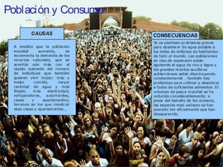 Población y Consumo 