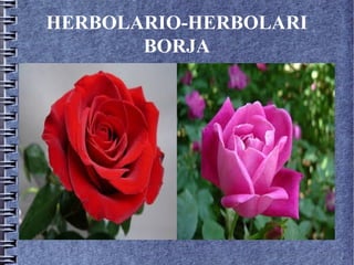 HERBOLARIO-HERBOLARI 
BORJA 
Fila 1 Fila 2 Fila 3 Fila 4 
12 
10 
8 
6 
4 
2 
0 
Columna 1 
Columna 2 
Columna 3 
 