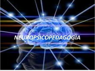 NEUROPSICOPEDAGOGIA
 