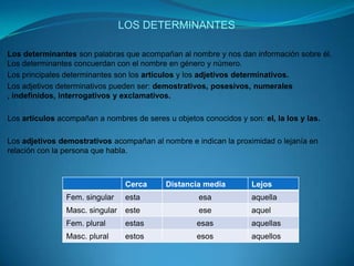 LOS DETERMINANTESLos determinantes son palabras que acompañan al nombre y nos dan información sobre él. Los determinantes concuerdan con el nombre en género y número.Los principales determinantes son los artículos y los adjetivos determinativos.Los adjetivos determinativos pueden ser: demostrativos, posesivos, numerales , indefinidos, interrogativos y exclamativos.Los artículos acompañan a nombres de seres u objetos conocidos y son: el, la los y las.Los adjetivos demostrativos acompañan al nombre e indican la proximidad o lejanía en relación con la persona que habla.