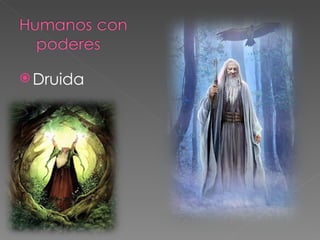  Druida
 