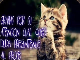 Trabajo de leo del panel de control