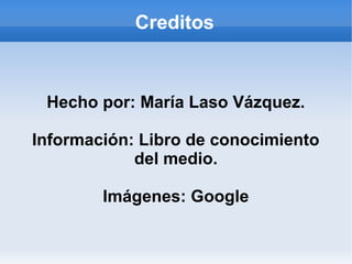 Creditos
Hecho por: María Laso Vázquez.
Información: Libro de conocimiento
del medio.
Imágenes: Google
 