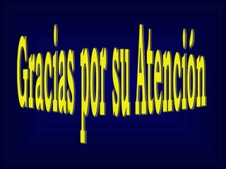 Gracias por su Atención  