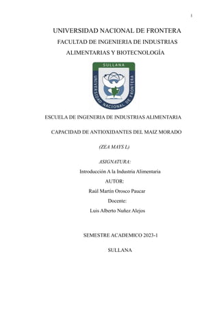 1
UNIVERSIDAD NACIONAL DE FRONTERA
FACULTAD DE INGENIERIA DE INDUSTRIAS
ALIMENTARIAS Y BIOTECNOLOGÍA
ESCUELA DE INGENERIA DE INDUSTRIAS ALIMENTARIA
CAPACIDAD DE ANTIOXIDANTES DEL MAIZ MORADO
(ZEA MAYS L)
ASIGNATURA:
Introducción A la Industria Alimentaria
AUTOR:
Raúl Martín Orosco Paucar
Docente:
Luis Alberto Nuñez Alejos
SEMESTRE ACADEMICO 2023-1
SULLANA
 